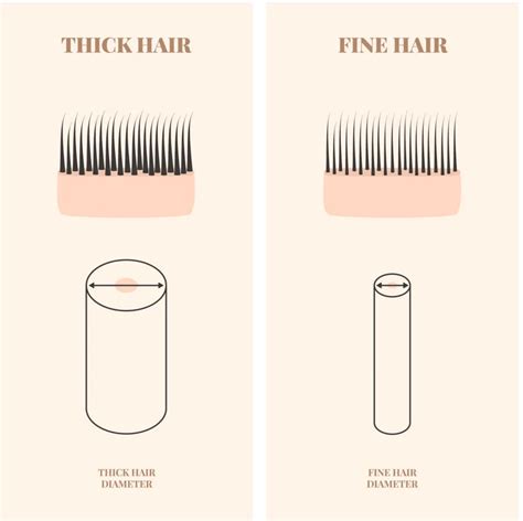 measuring thickness of hair on scalp|hair thickness under hair.